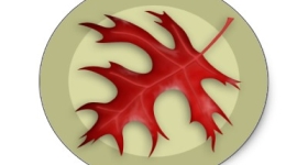 Pin Oaks logo